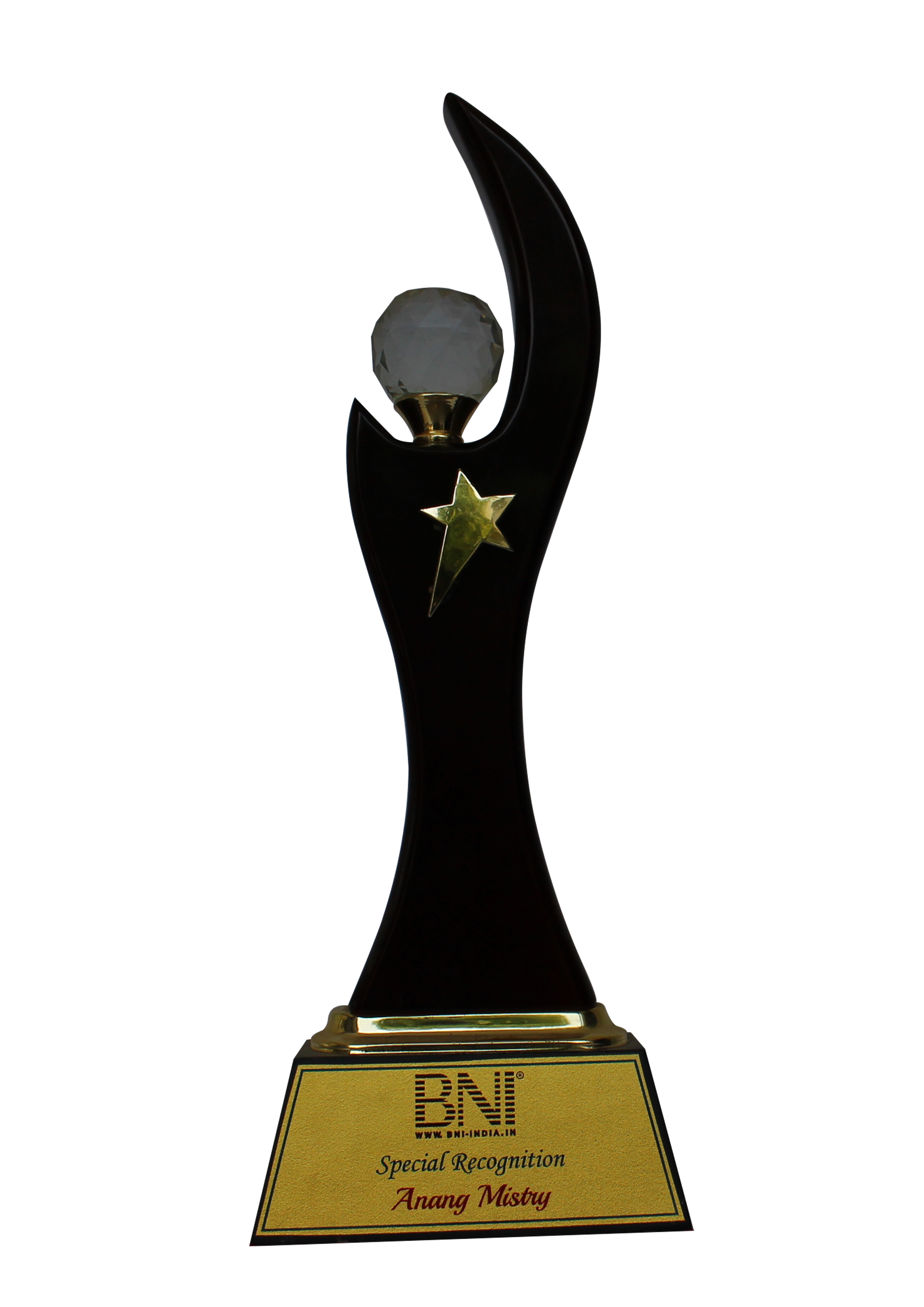 Excellence in Marketing Award
